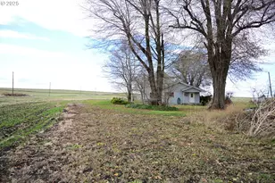 75938 Spring Hollow Rd, Adams, OR 97810 - Photo 29