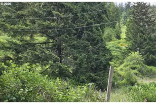 8955 Scotts Valley Rd, Yoncalla, OR 97499 - Photo 9