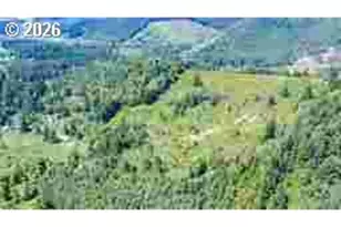8955 Scotts Valley Rd, Yoncalla, OR 97499 - Photo 27