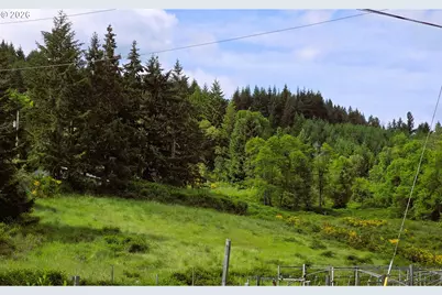 8955 Scotts Valley Rd, Yoncalla, OR 97499 - Photo 3