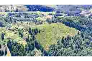 8955 Scotts Valley Rd, Yoncalla, OR 97499 - Photo 19