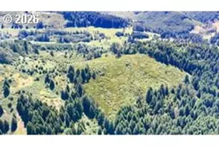 8955 Scotts Valley Rd, Yoncalla, OR 97499 - Photo 17