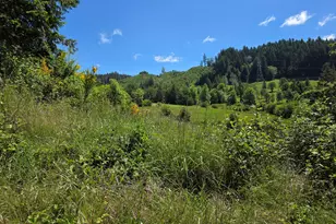 8955 Scotts Valley Rd, Yoncalla, OR 97499 - Photo 11