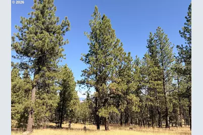 0 Hwy 395, John Day, OR 97845 - Photo 37