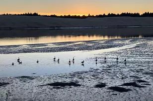 1070 Bay St, Florence, OR 97439 - Photo 21