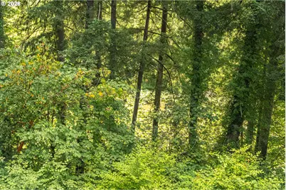 22345 SW 111th Ave, Tualatin, OR 97062 - Photo 43