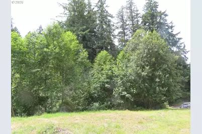 Coleman Rd, Mossyrock, WA 98564 - Photo 7