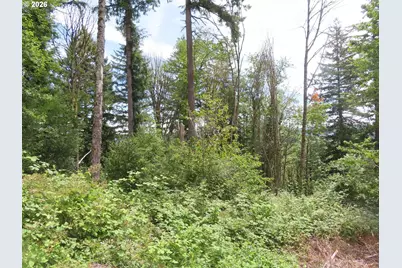 Coleman Rd, Mossyrock, WA 98564 - Photo 5