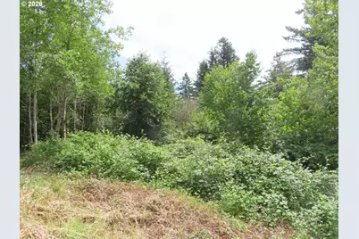 Coleman Rd, Mossyrock, WA 98564 - Photo 21