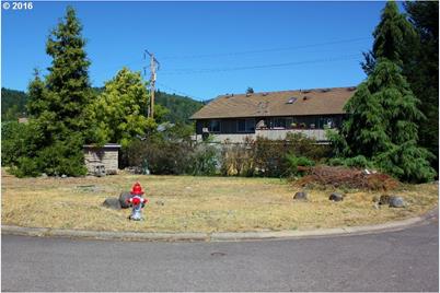 Christel Ln, Oakridge, OR 97463 - Photo 1