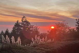 17130 Eastwood Ln, Brookings, OR 97415 - Photo 5