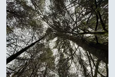 298 Boone Rd, Toledo, WA 98591 - Photo 29