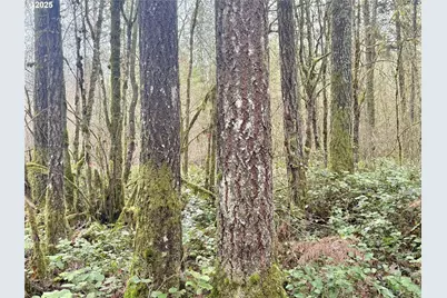 298 Boone Rd, Toledo, WA 98591 - Photo 3