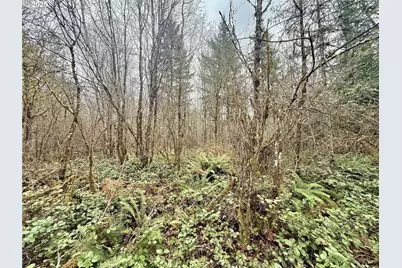 298 Boone Rd, Toledo, WA 98591 - Photo 11