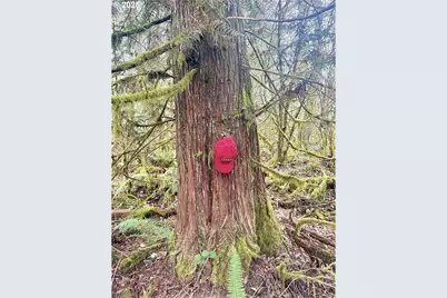 298 Boone Rd, Toledo, WA 98591 - Photo 5