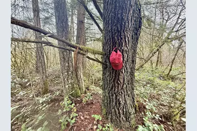 298 Boone Rd, Toledo, WA 98591 - Photo 21