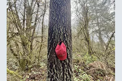 298 Boone Rd, Toledo, WA 98591 - Photo 25