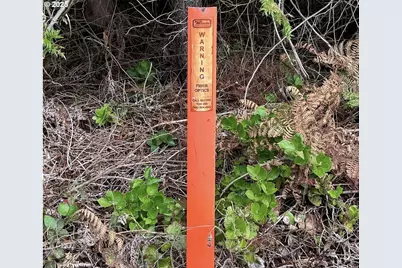 298 Boone Rd, Toledo, WA 98591 - Photo 13