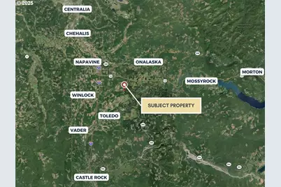 298 Boone Rd, Toledo, WA 98591 - Photo 17