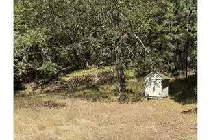 1166 Clarks Branch Rd, Myrtle Creek, OR 97457 - Photo 27