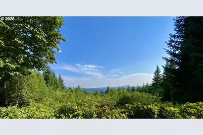 22709 NE 123rd Cir, Brush Prairie, WA 98606 - Photo 25