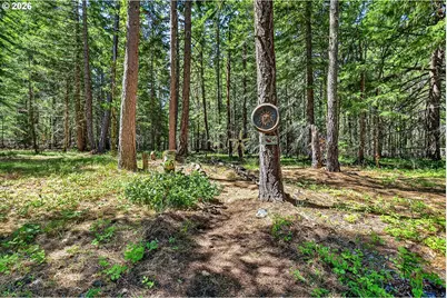 36 Shippey Cutoff Rd, Lyle, WA 98635 - Photo 37