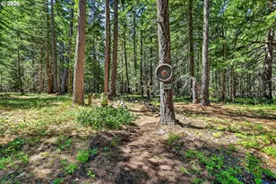 36 Shippey Cutoff Rd, Lyle, WA 98635 - Photo 37