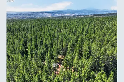 36 Shippey Cutoff Rd, Lyle, WA 98635 - Photo 45