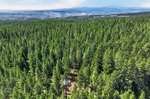 36 Shippey Cutoff Rd, Lyle, WA 98635 - Photo 45