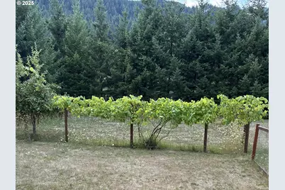 181 Vada St, Carson, WA 98610 - Photo 29