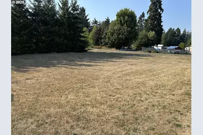 181 Vada St, Carson, WA 98610 - Photo 31