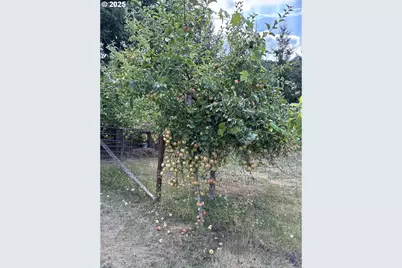 181 Vada St, Carson, WA 98610 - Photo 25