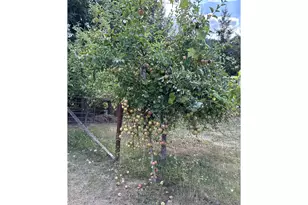 181 Vada St, Carson, WA 98610 - Photo 25