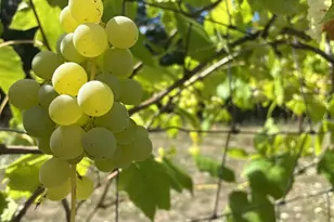 181 Vada St, Carson, WA 98610 - Photo 27