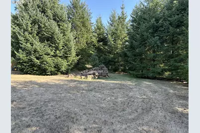 181 Vada St, Carson, WA 98610 - Photo 23