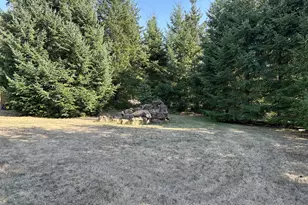 181 Vada St, Carson, WA 98610 - Photo 23