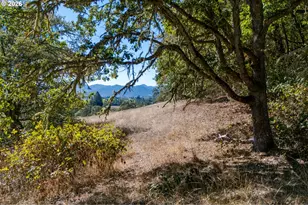5961 Lookingglass Rd, Roseburg, OR 97471 - Photo 27