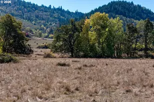 5961 Lookingglass Rd, Roseburg, OR 97471 - Photo 29