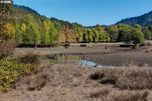 5961 Lookingglass Rd, Roseburg, OR 97471 - Photo 43