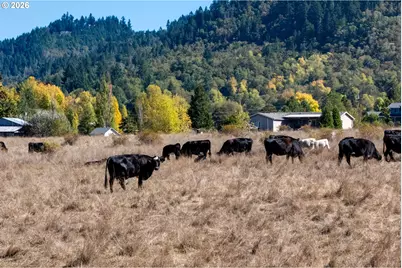 5961 Lookingglass Rd, Roseburg, OR 97471 - Photo 11