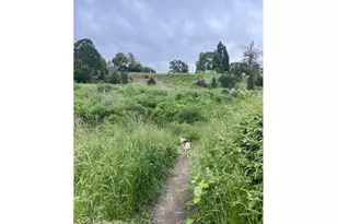 5819 N Greeley Ave, Portland, OR 97217 - Photo 45