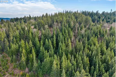 5195 York Hill Dr, Hood River, OR 97031 - Photo 13