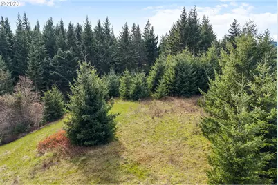 5195 York Hill Dr, Hood River, OR 97031 - Photo 11