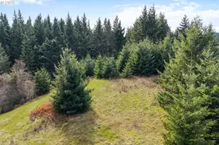 5195 York Hill Dr, Hood River, OR 97031 - Photo 11