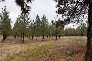 Garrison Rd, Goldendale, WA 98620 - Photo 1