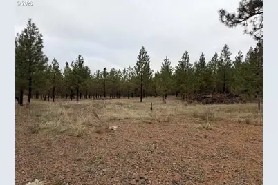 Garrison Rd #1, Goldendale, WA 98620 - Photo 7