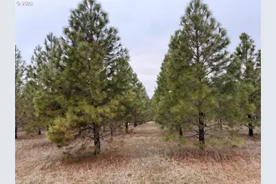 Garrison Rd #1, Goldendale, WA 98620 - Photo 13