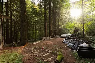 47100 SE Pheasant Meadow Rd, Sandy, OR 97055 - Photo 19