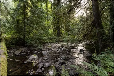 47100 SE Pheasant Meadow Rd, Sandy, OR 97055 - Photo 9