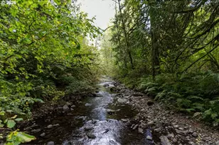 47100 SE Pheasant Meadow Rd, Sandy, OR 97055 - Photo 5